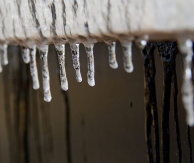 Week 20 – One Shovelful