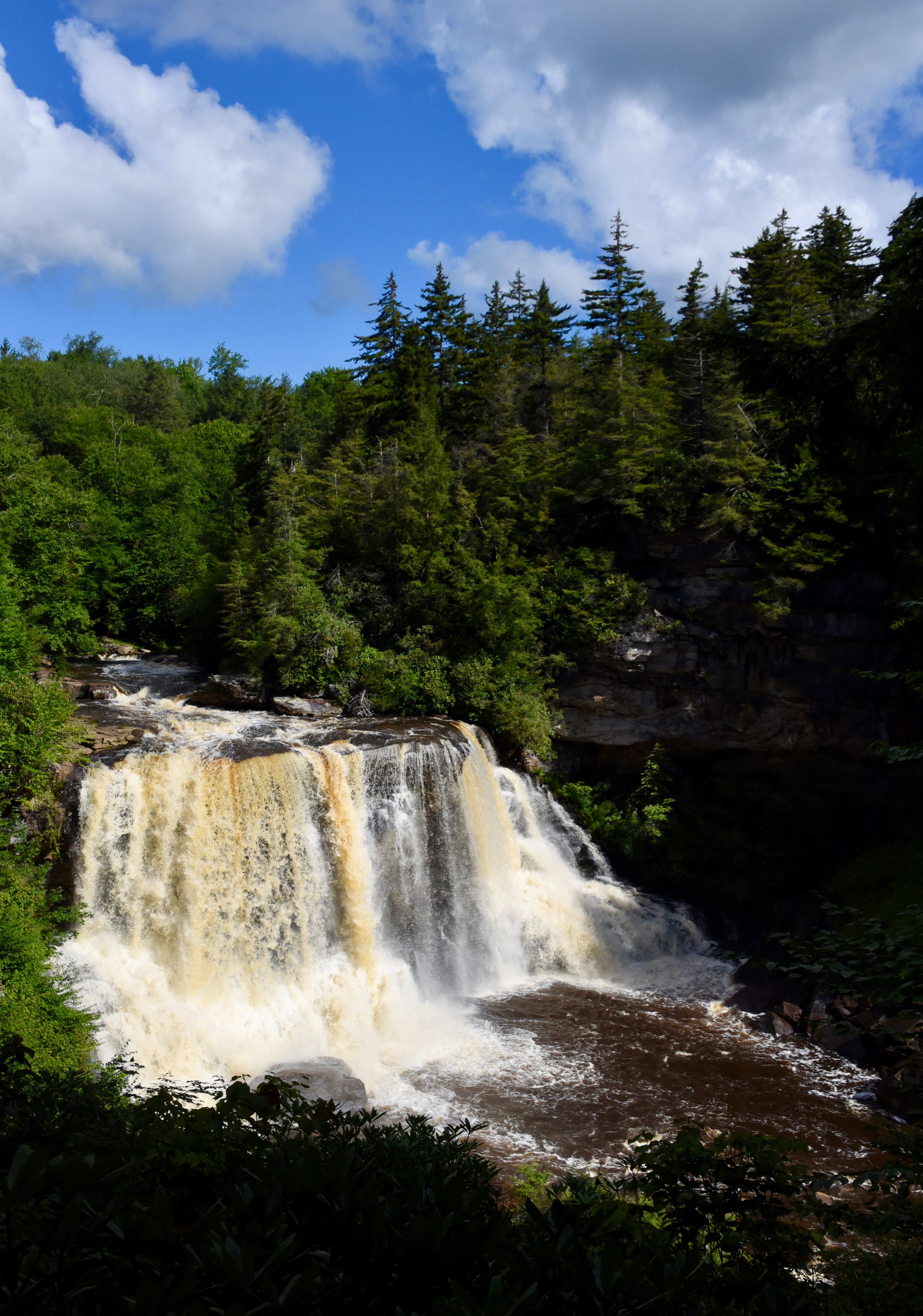 Blackwater Falls State Park